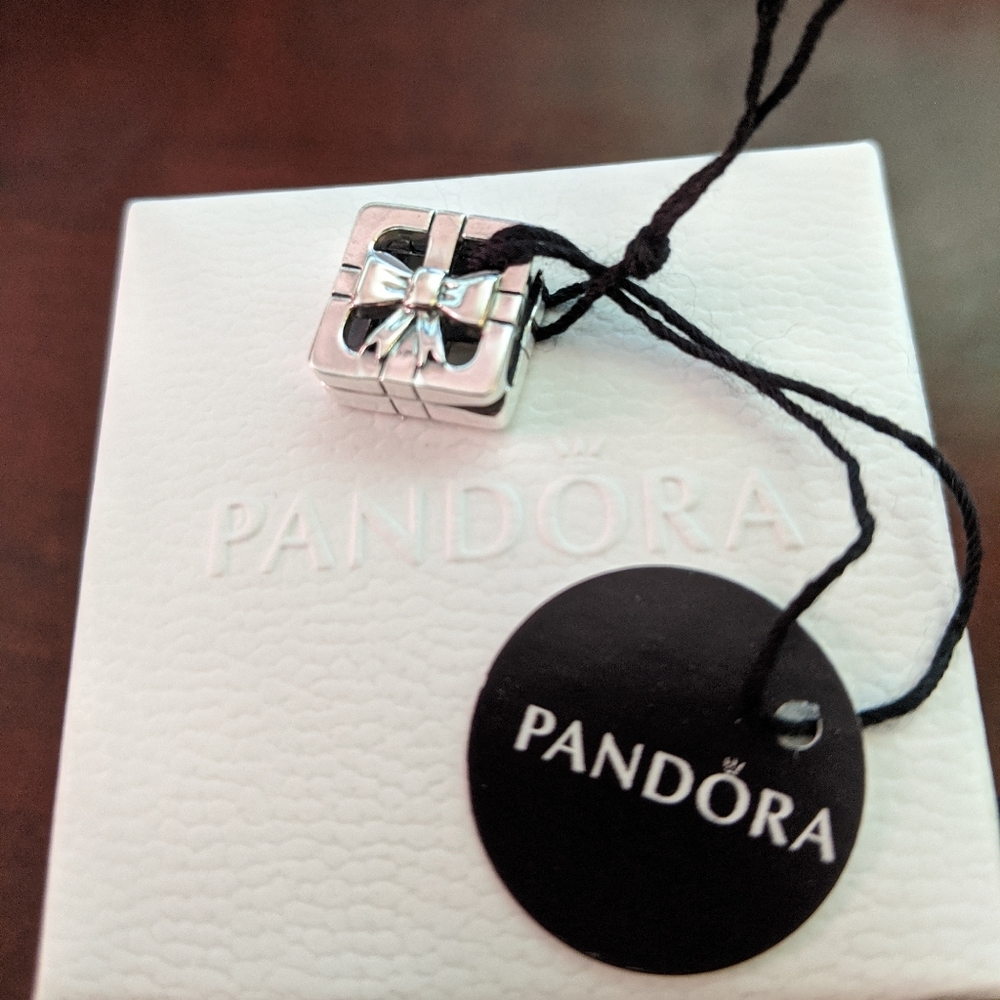 Pandora Reflexions Charm